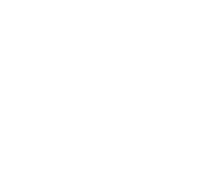 FN / FOUR NINES 
